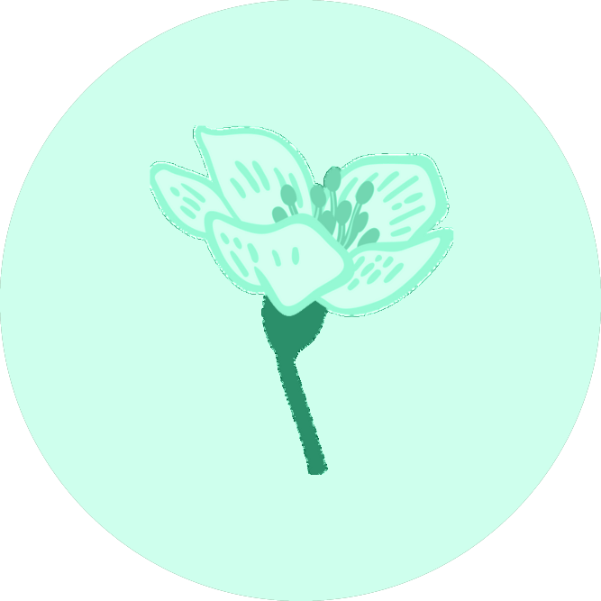 aubepine