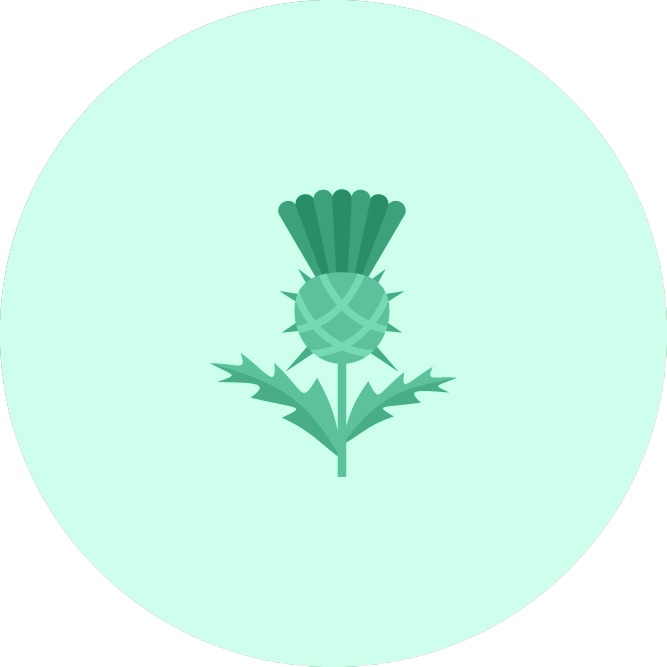 bardane