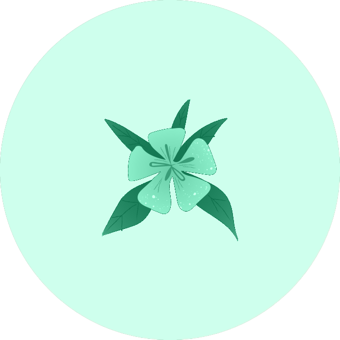damiana