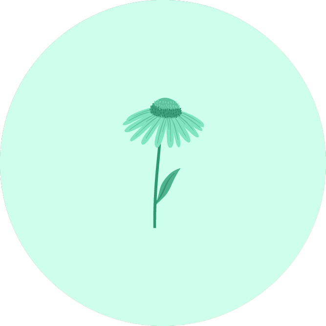 echinasée
